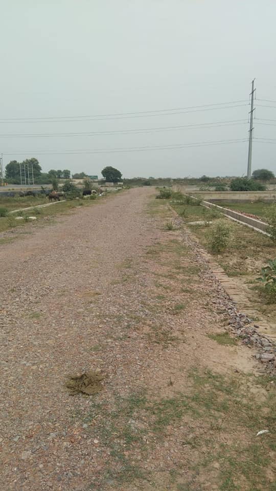 Authority Plot FOR SALE in NOIDA, UP, Delhi-74