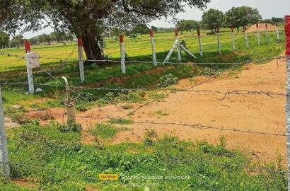 LAND FOR SALE in HYDERABAD, TS, Hyderabad-37