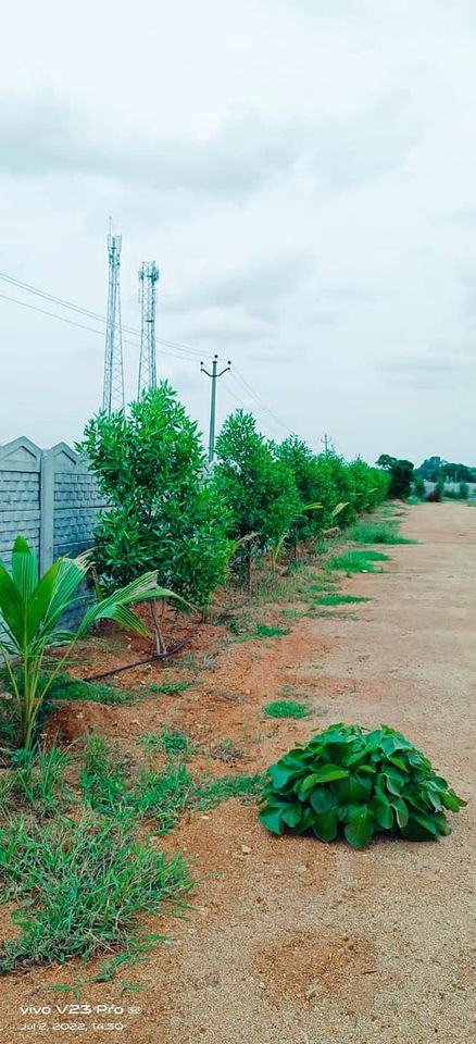 Green Village Premium Farm land FOR SALE in HYDERABAD, TS, Hyderabad-118