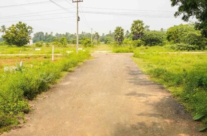 East Facing Residential Area Plot FOR SALE in CHENNAI, TN, Chennai-136