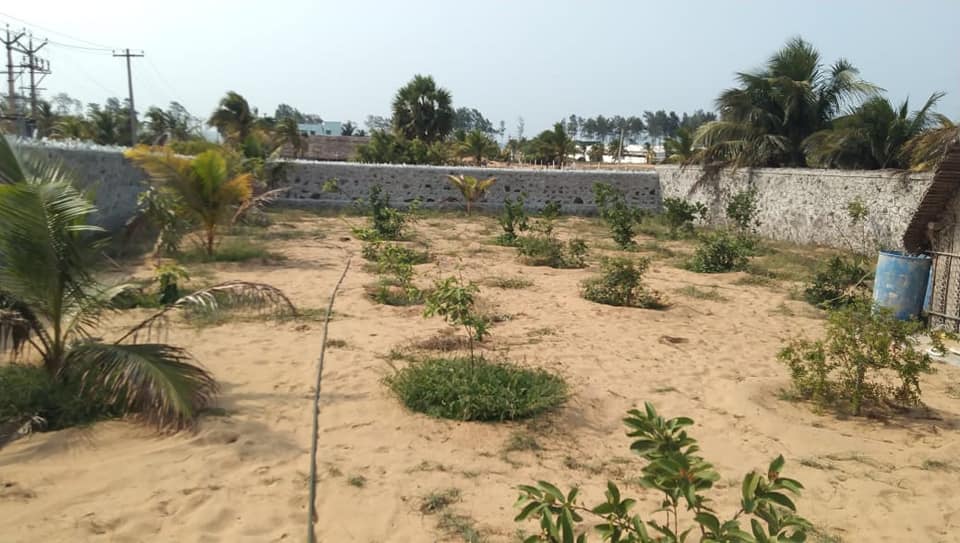 New Projects FOR SALE in CHENAI, TN, Chennai-12