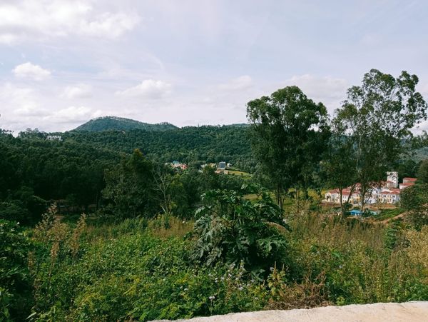 Farm House & Holiday Villa Land FOR SALE in YERCAUD, TN, Chennai-83