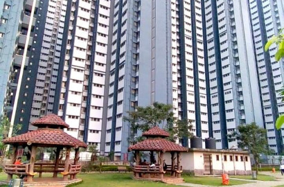 1 BHK Flat/Apartment for rent in Shree sai apartment, Mumbai