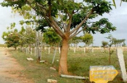 Land/Plot for sale in Airport Avenue, Devanahalli
