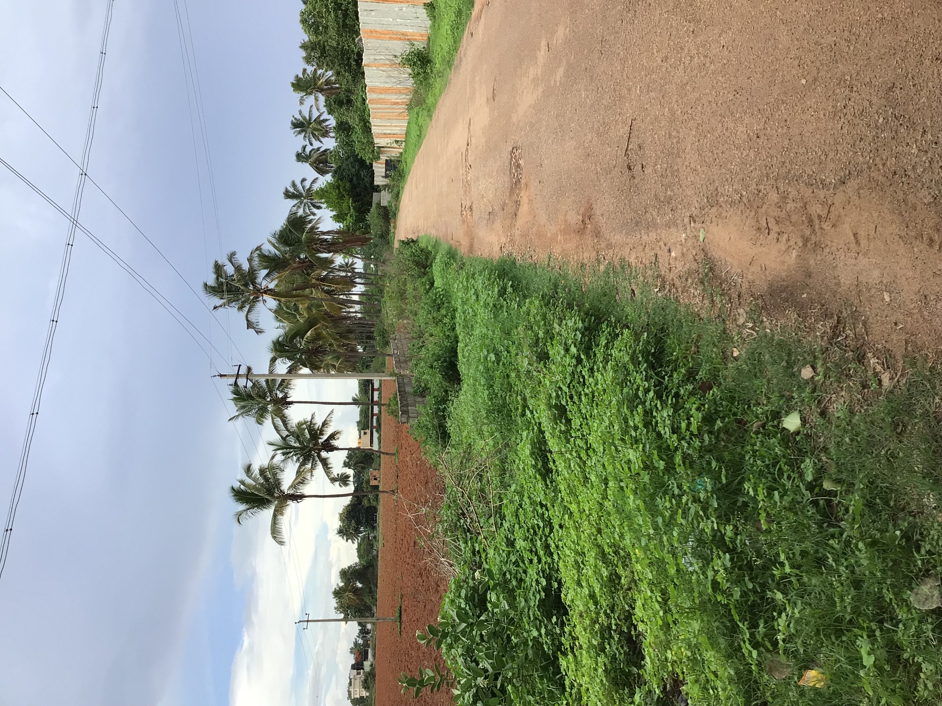 Land for sale in MANDIBELE LAND, Devanahalli